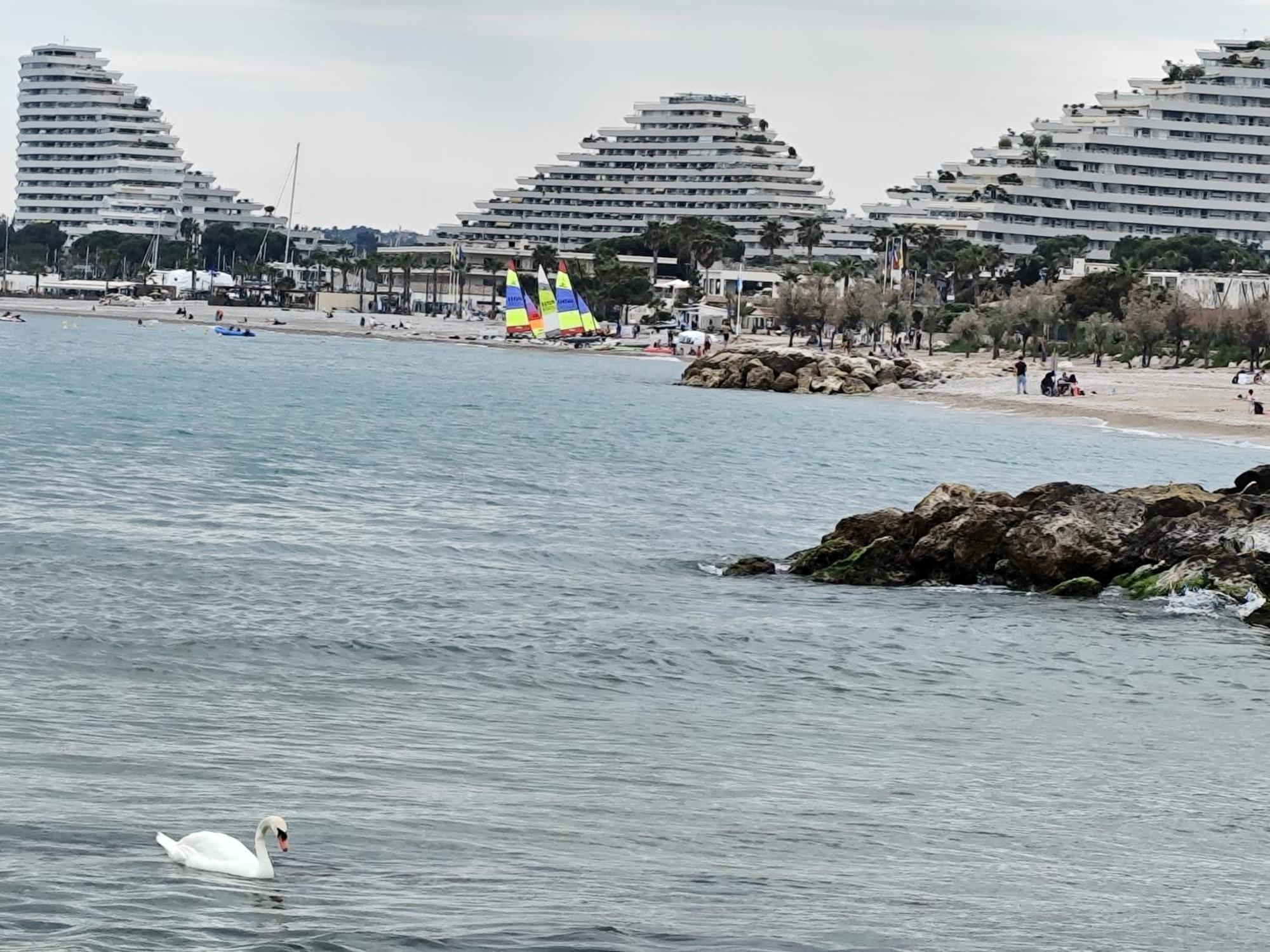 La Marina - T2 Apartment Villeneuve-Loubet Εξωτερικό φωτογραφία